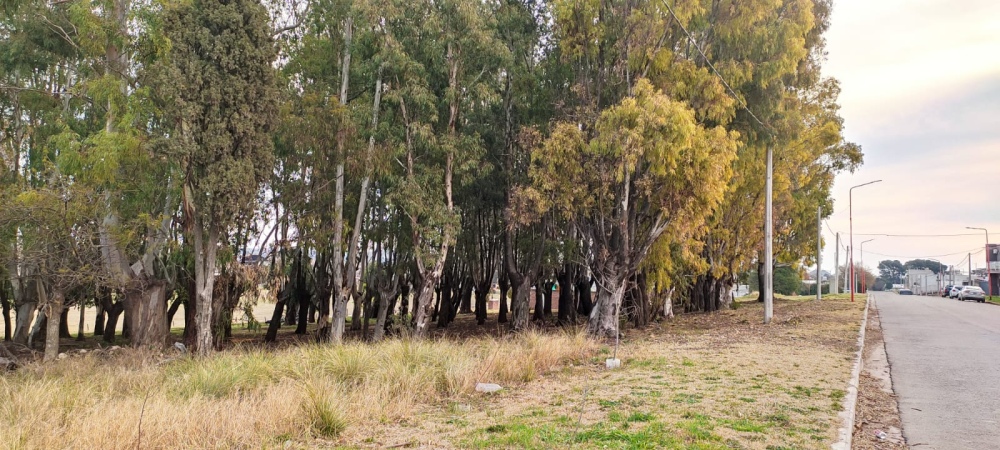 Más de 2500 vecinos piden conservar el parque La Salle como área recreativa