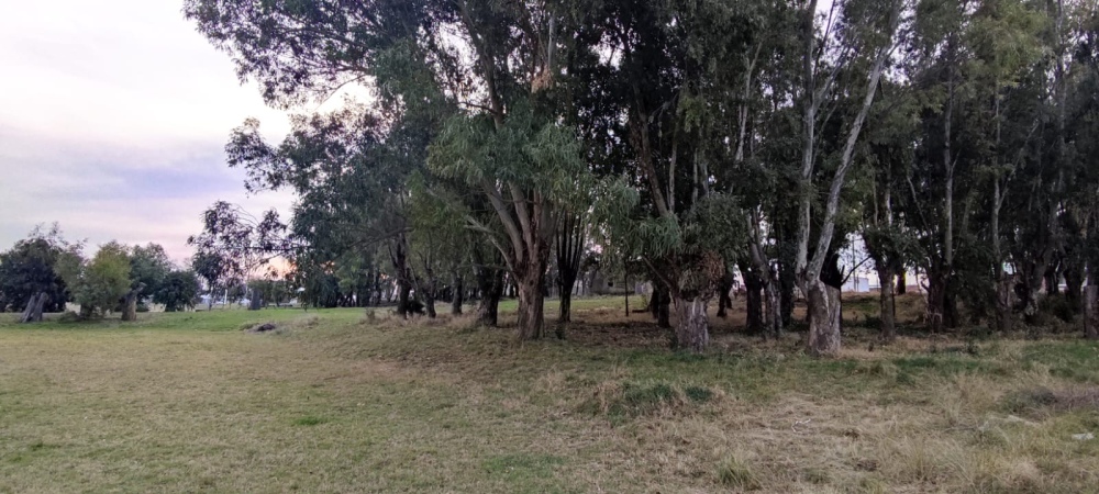 Más de 2500 vecinos piden conservar el parque La Salle como área recreativa