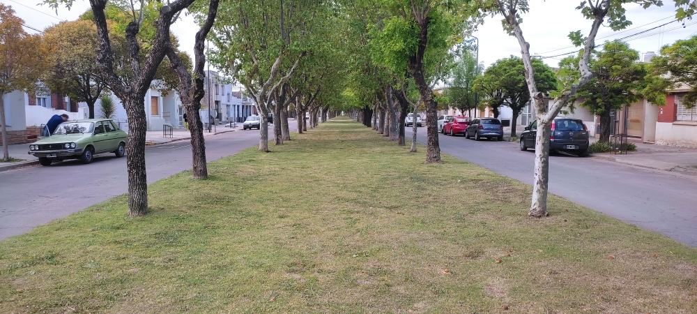 Proponen hacer bicisendas en los boulevares de Pigüé