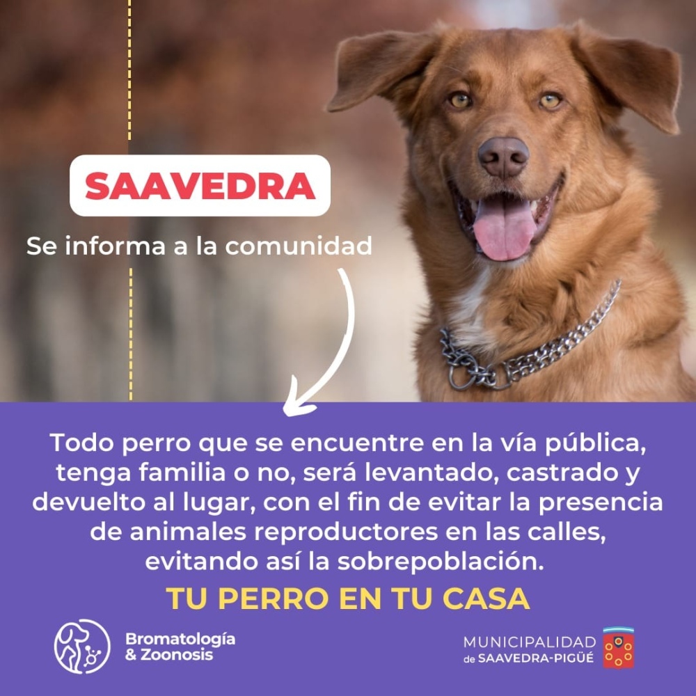 Saavedra: avanza el paseo urbano