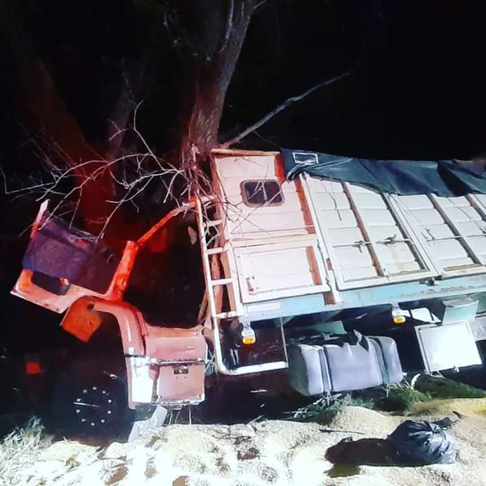 Un camión embistió un árbol en la 67 cerca de Arroyo Corto
