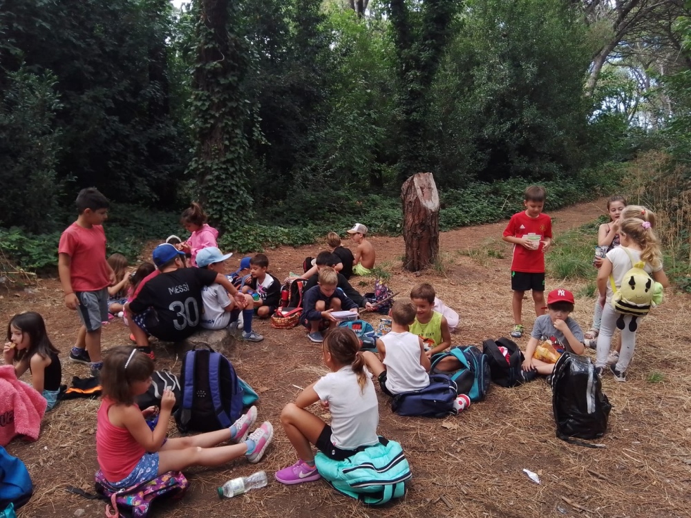 Actividades de cierre de las escuelas de verano en el distrito