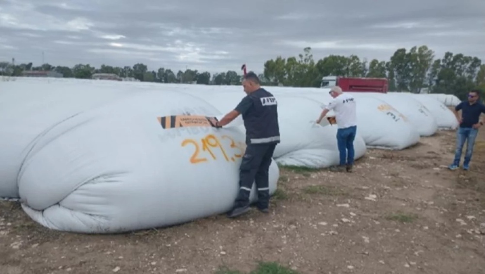 La AFIP incautó 270 toneladas de maíz en una planta ubicada en Espartillar