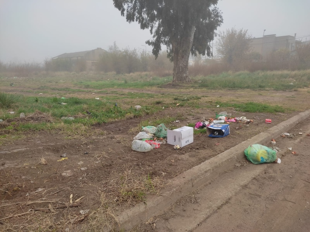 Recolectaron la basura del barrio de la ex curtiembre pero ...