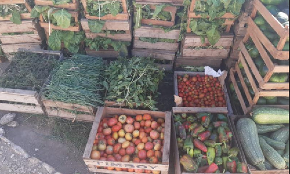 En la cárcel de Saavedra producen verduras y hortalizas para autoconsumo y para un taller protegido