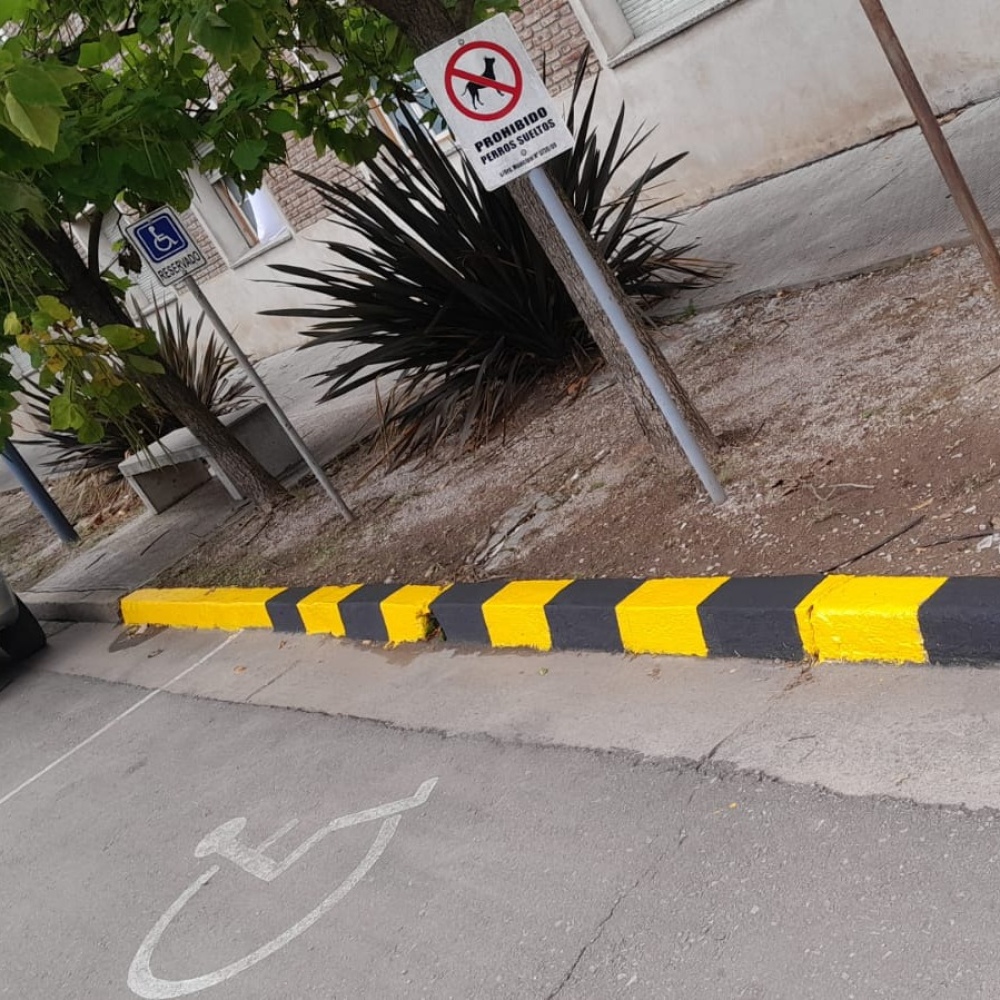 Relevamiento y repintado de los sectores de estacionamientos para discapacidad