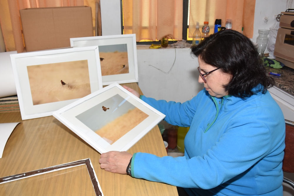 Muestra fotográfica “Natural” en el Museo y Archivo de Pigüé