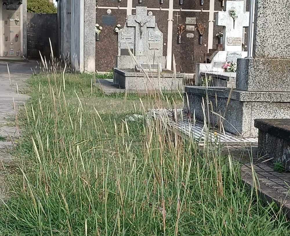 Comunicado de la UCR de Saavedra sobre el estado del Cementerio de Pigüé