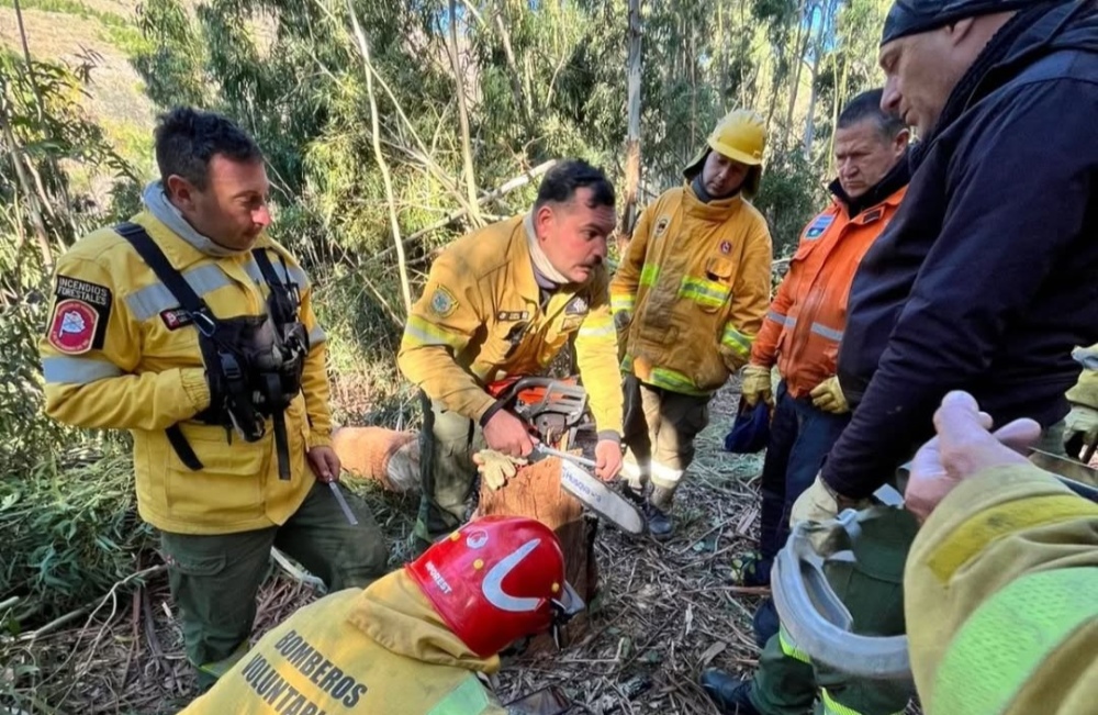 Bomberos de Pigüé participaron en un seminario sobre incendios forestales en Tornquist