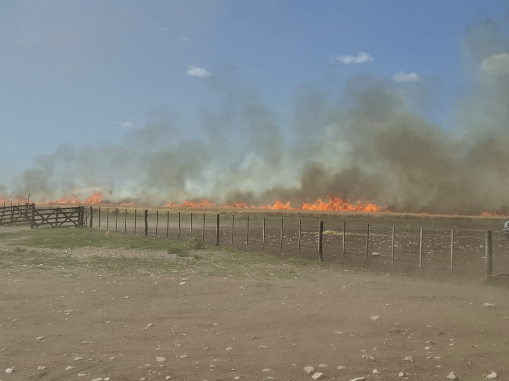 Los bomberos de Espartillar controlaron un incendio que arrasó 70 hectáreas de cebada