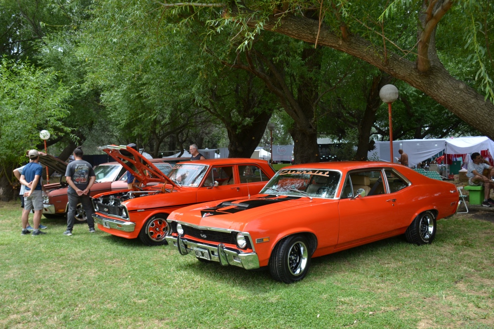 Saavedra celebró con gran éxito la 1º Fiesta Provincial del Cordero Serrano