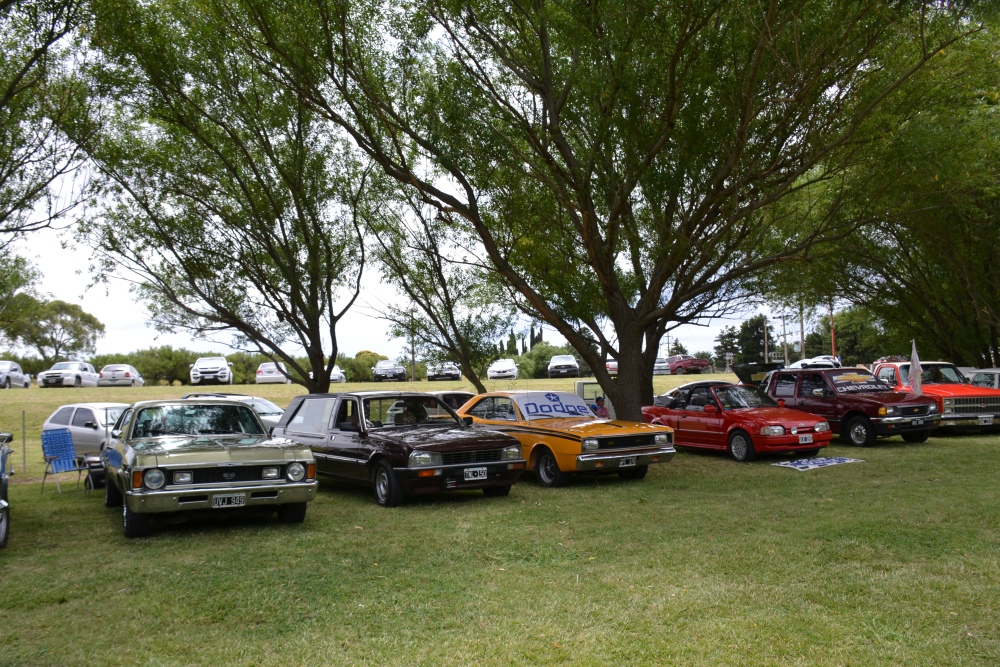 Saavedra celebró con gran éxito la 1º Fiesta Provincial del Cordero Serrano