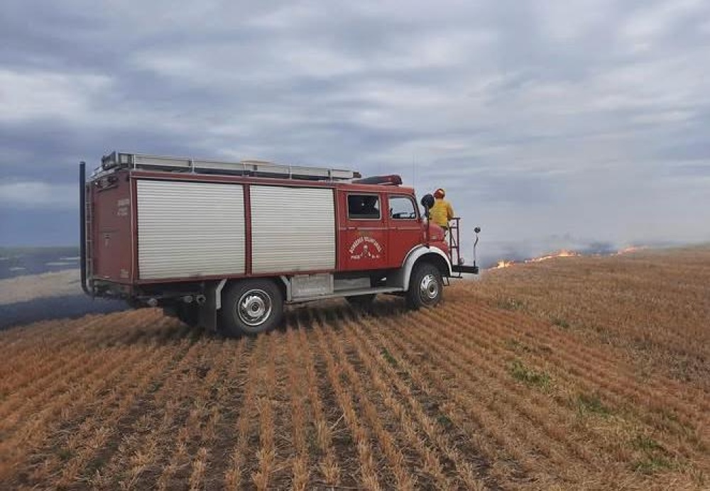Incendio forestal en el sector serrano: rápida intervención de los bomberos