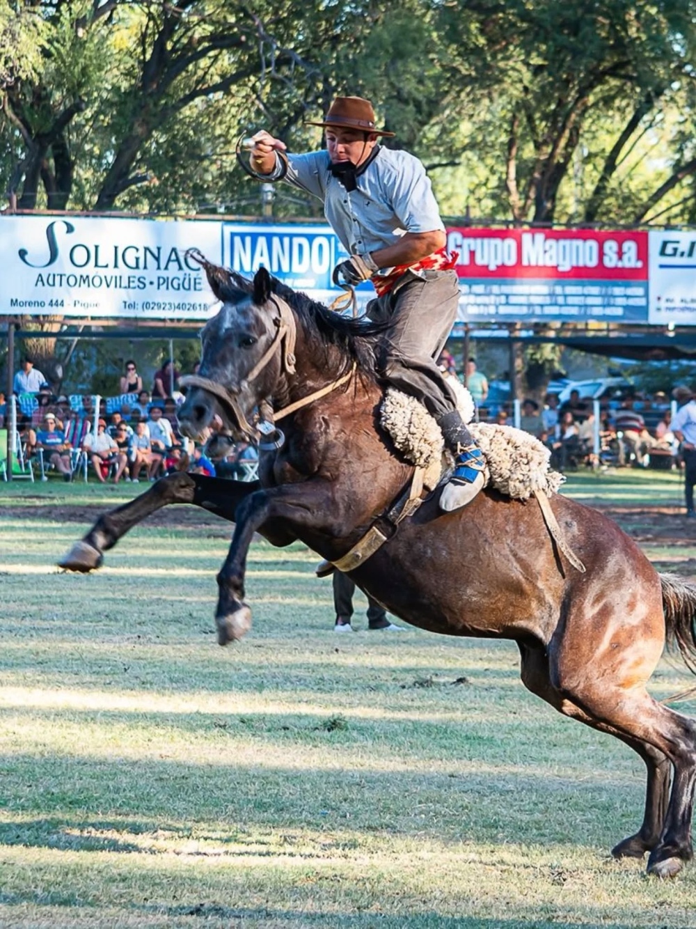 Viernes a pura jineteada en la Fiesta Nacional del Reservado