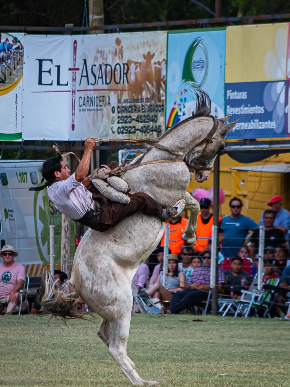 Viernes a pura jineteada en la Fiesta Nacional del Reservado