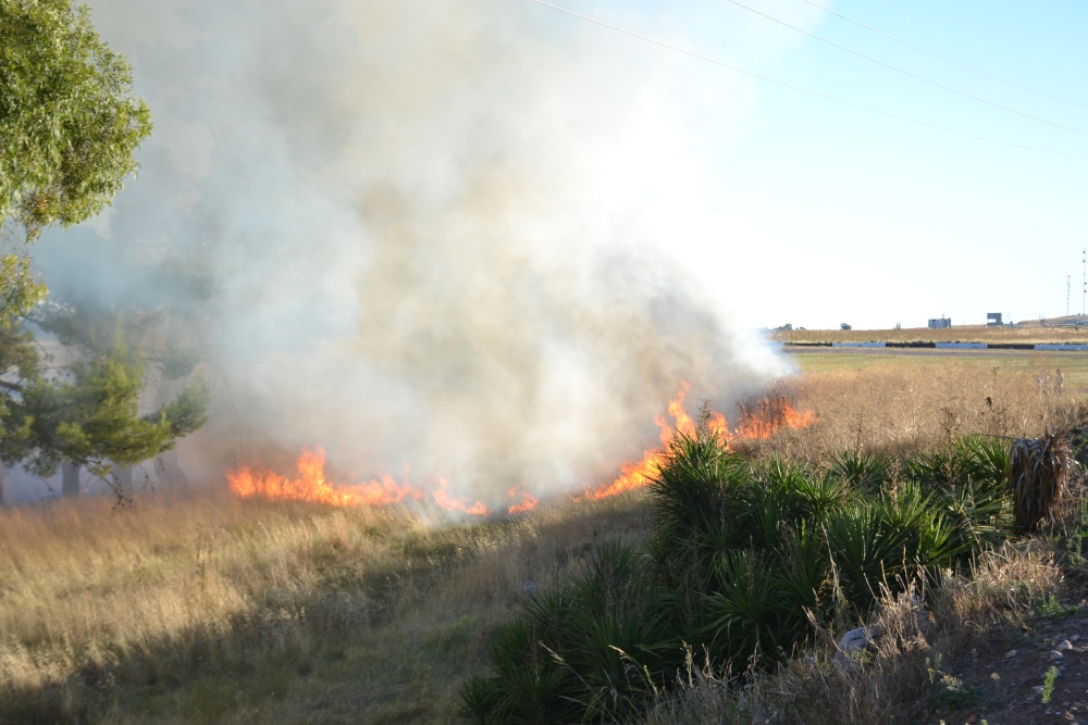 Incendio de magnitud en el bosque lindero al Autódromo de Pigüé