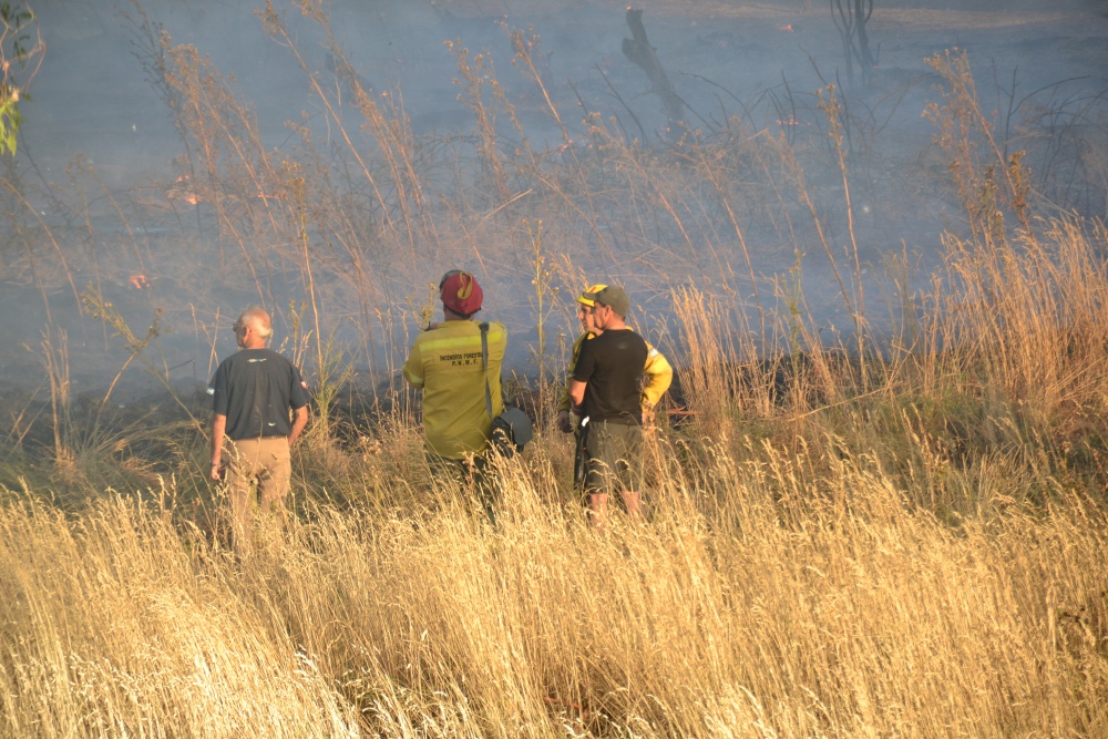 Incendio de magnitud en el bosque lindero al Autódromo de Pigüé