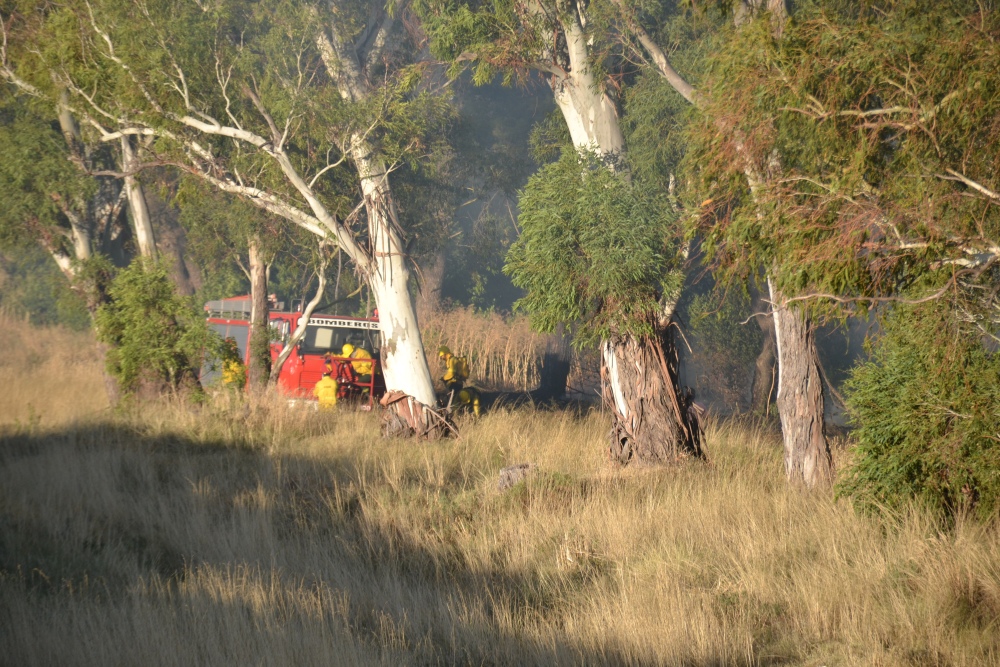 Incendio de magnitud en el bosque lindero al Autódromo de Pigüé