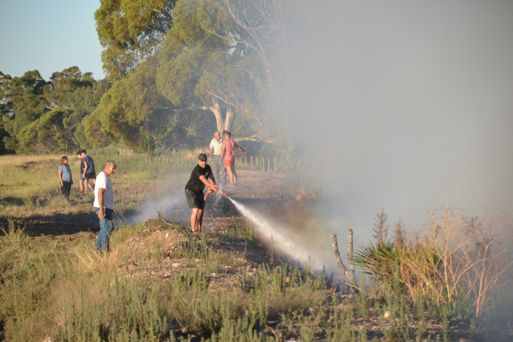 Incendio de magnitud en el bosque lindero al Autódromo de Pigüé