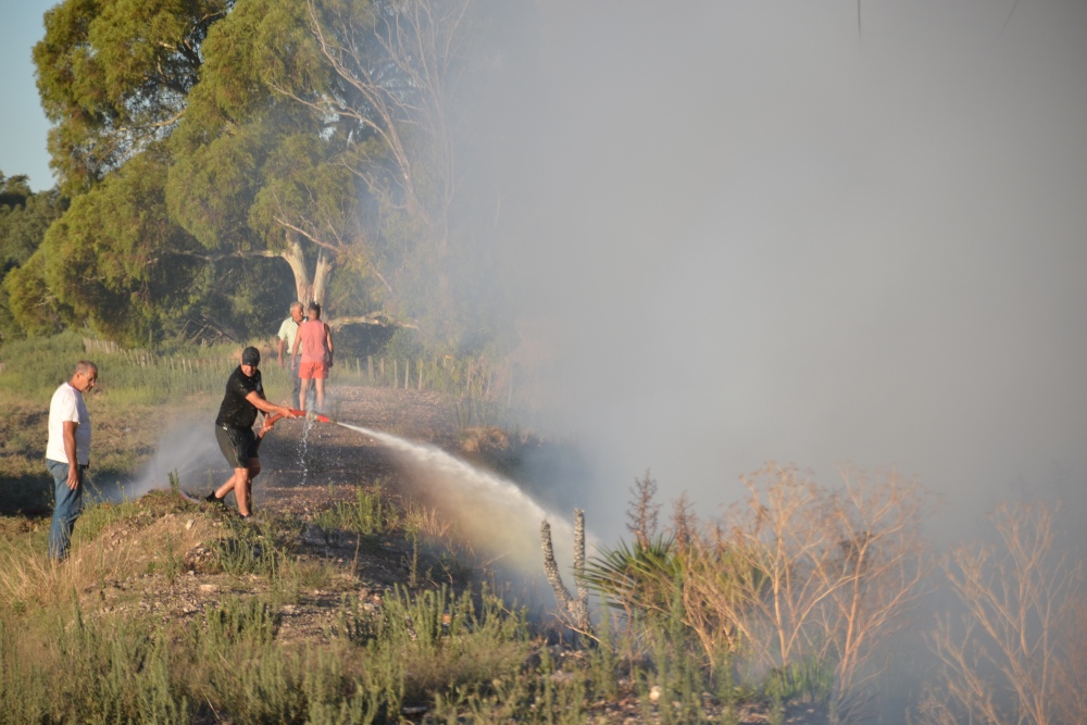 Incendio de magnitud en el bosque lindero al Autódromo de Pigüé
