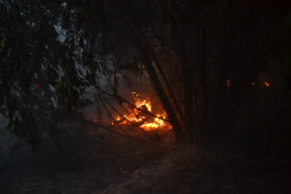 Incendio de magnitud en el bosque lindero al Autódromo de Pigüé