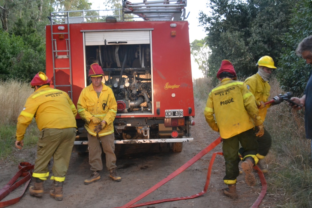 Incendio de magnitud en el bosque lindero al Autódromo de Pigüé
