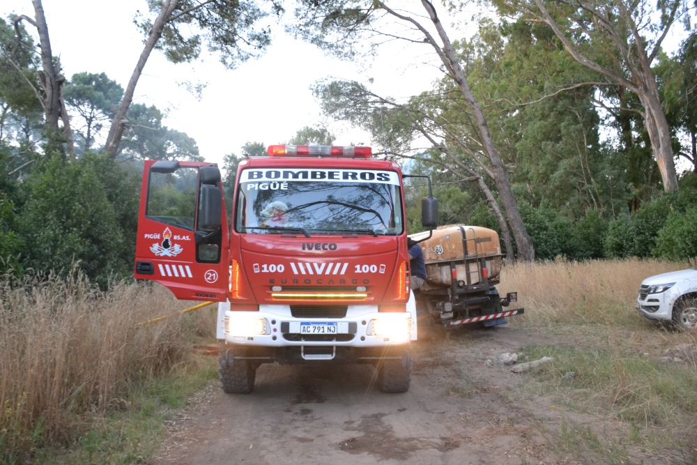 Incendio de magnitud en el bosque lindero al Autódromo de Pigüé
