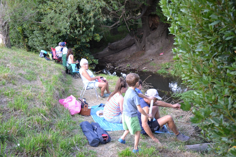 Gran concurrencia en el concurso de pesca infantil en el Arroyo Pigüé