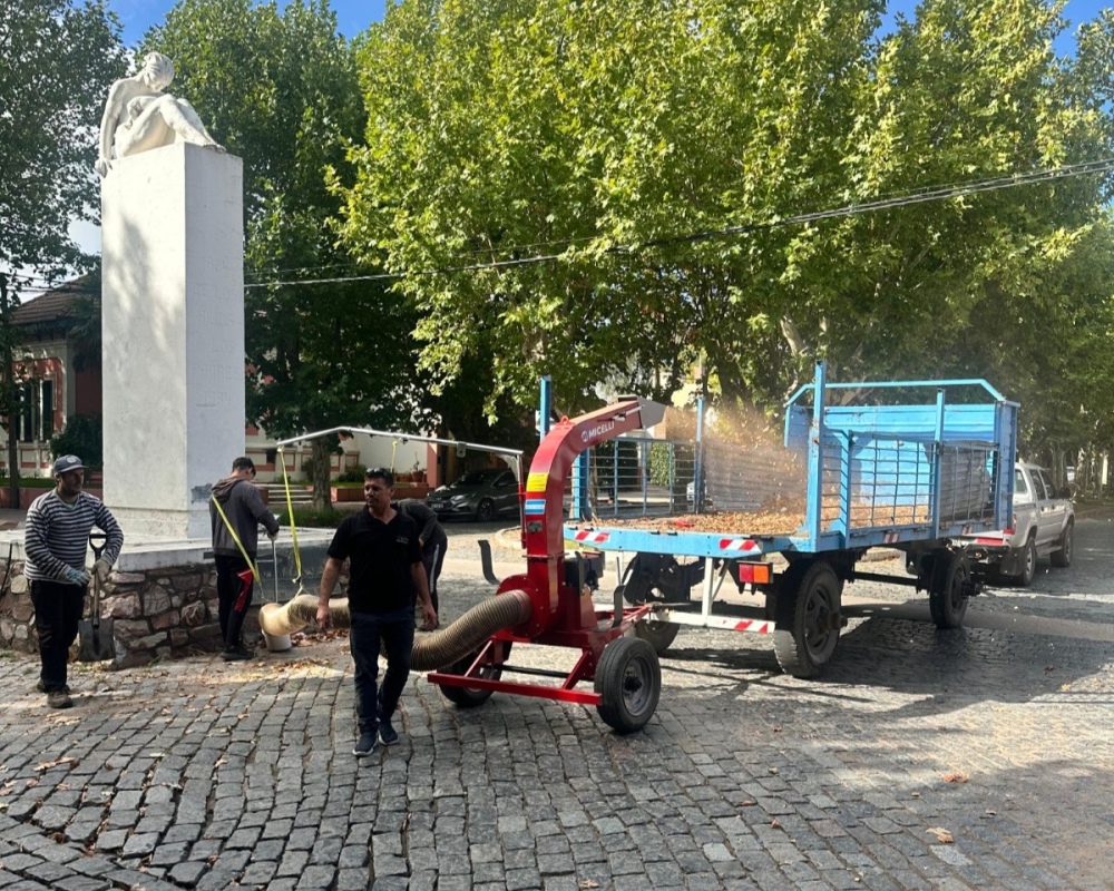El Municipio sumó una nueva chipeadora para reforzar la limpieza urbana