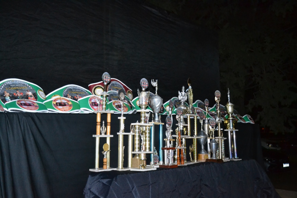 “Por los Campeones”: el boxeo brilló en el Parque Municipal