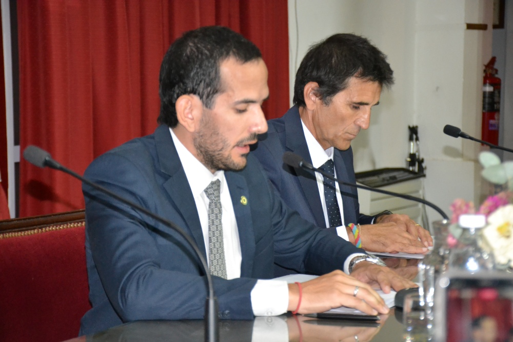 Actividad legislativa del HCD