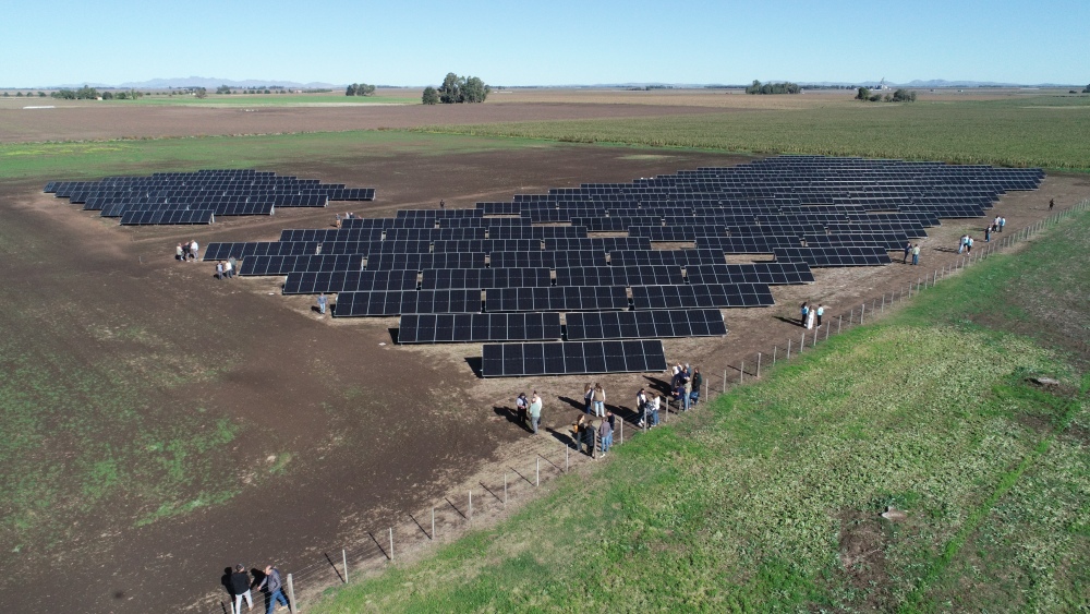 Quedó inaugurado el Parque Solar Cooperativo Espartillar II
