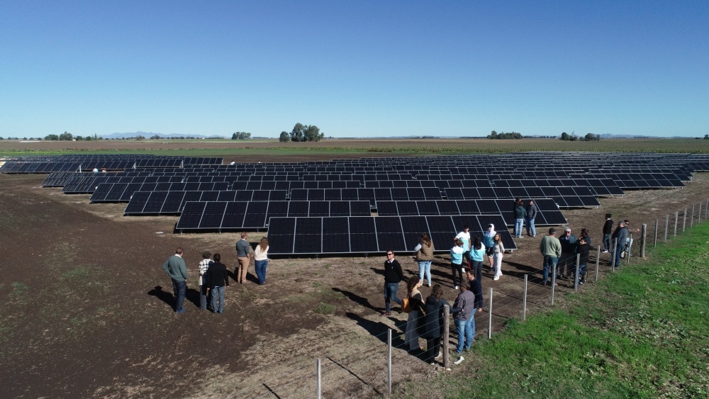 Quedó inaugurado el Parque Solar Cooperativo Espartillar II