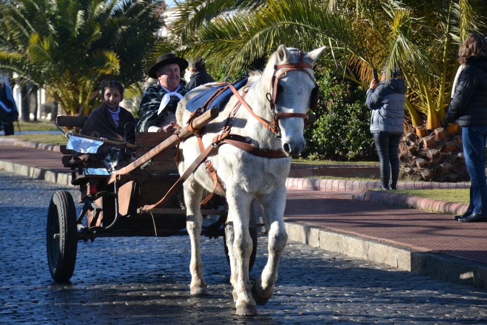 Pigüé conmemoró el 216º Aniversario de la Revolución de Mayo