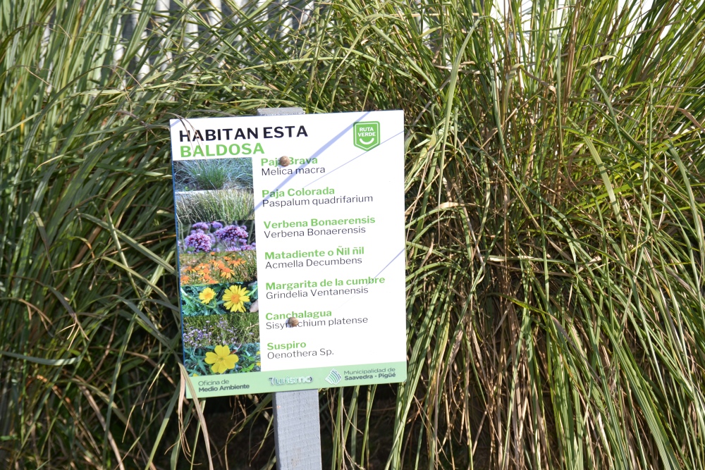 Inauguraron la Baldosa Verde en el Galpón Sustentable