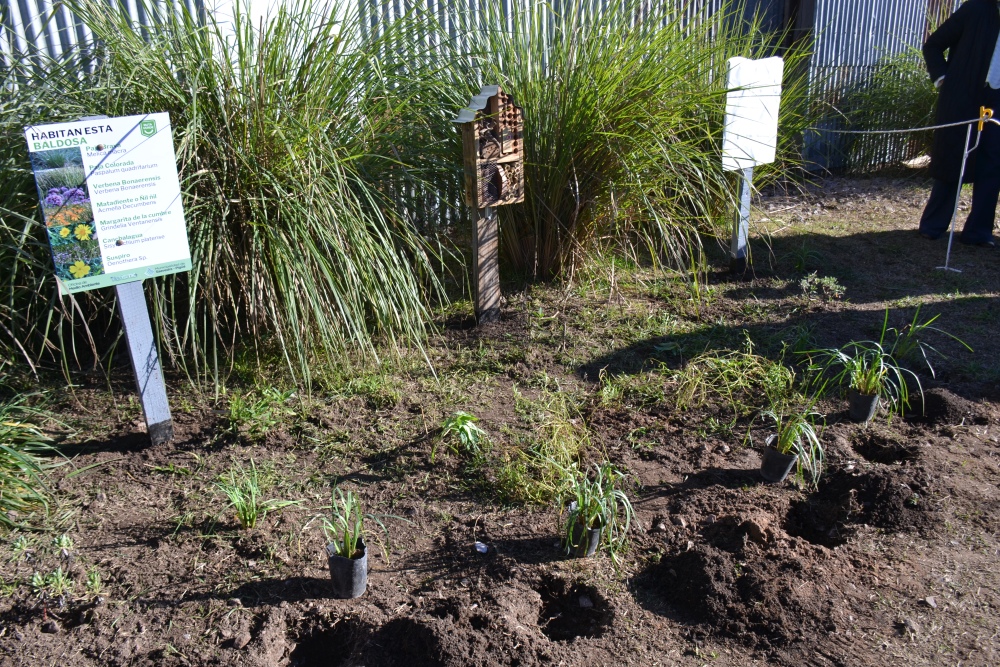 Inauguraron la Baldosa Verde en el Galpón Sustentable