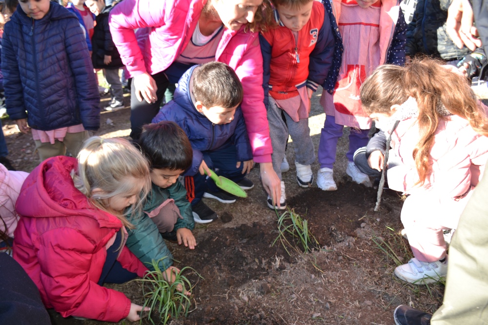 Inauguraron la Baldosa Verde en el Galpón Sustentable