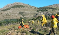 Bomberos de Pigüé participaron en un seminario sobre incendios forestales en Tornquist