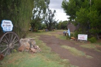 Tradición y sabor en la 72ª edición del “Lechón al Asador” en Colonia San Martín