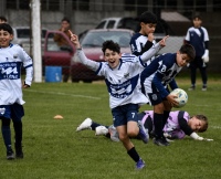 Se disput&oacute; la duod&eacute;cima fecha del torneo de inferiores