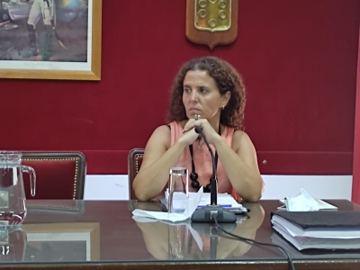 Ana García: "Intentamos una votación tasa por tasa pero la oposición no accedió"