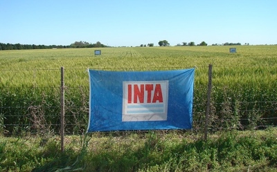 Protesta en el INTA: trabajadores se movilizan contra posible fusión