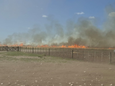 Los bomberos de Espartillar controlaron un incendio que arrasó 70 hectáreas de cebada